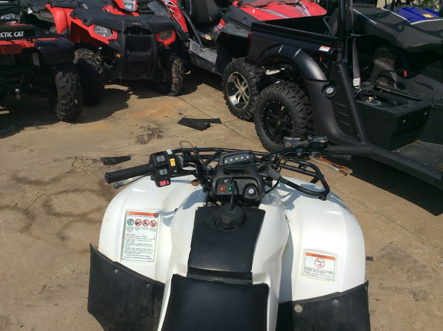 2009 Honda FourTrax Recon® ES