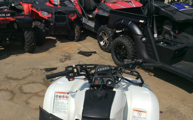 2009 Honda FourTrax Recon® ES