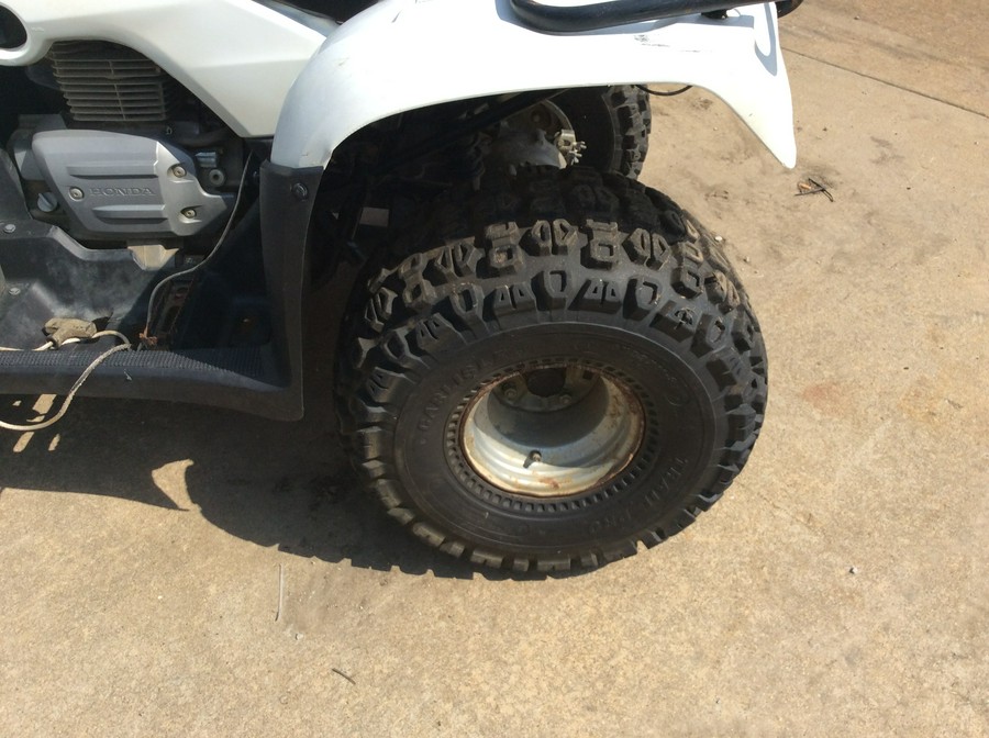 2009 Honda FourTrax Recon® ES