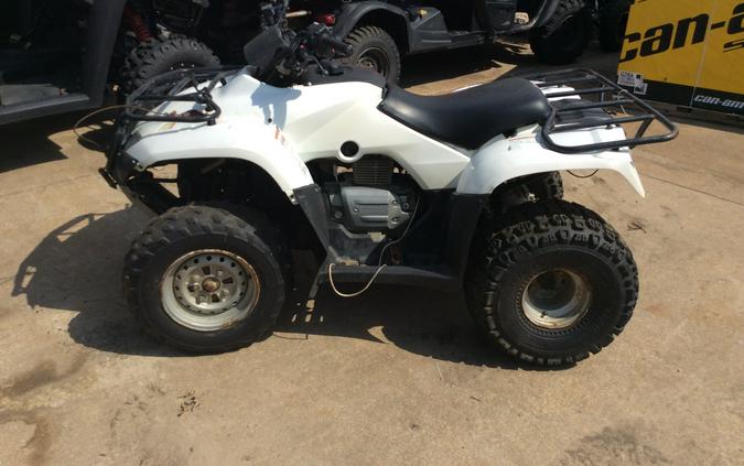 2009 Honda FourTrax Recon® ES