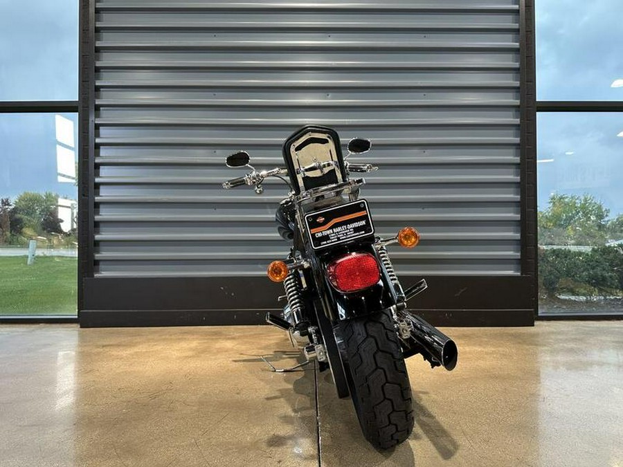 2004 Harley-Davidson® FXDL - Dyna® Low Rider®