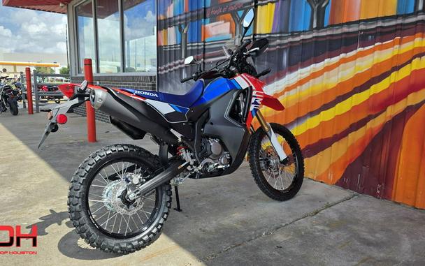 2026 Honda® CRF300L Rally