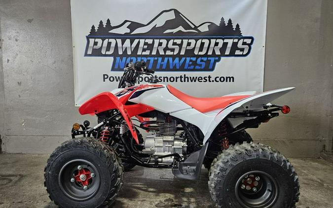 2024 Honda TRX250X 250X