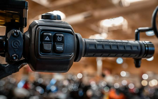 2025 Harley-Davidson Nightster