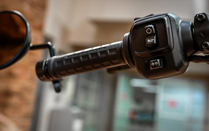 2025 Harley-Davidson Nightster