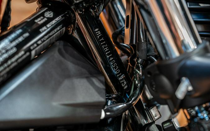 2025 Harley-Davidson Nightster