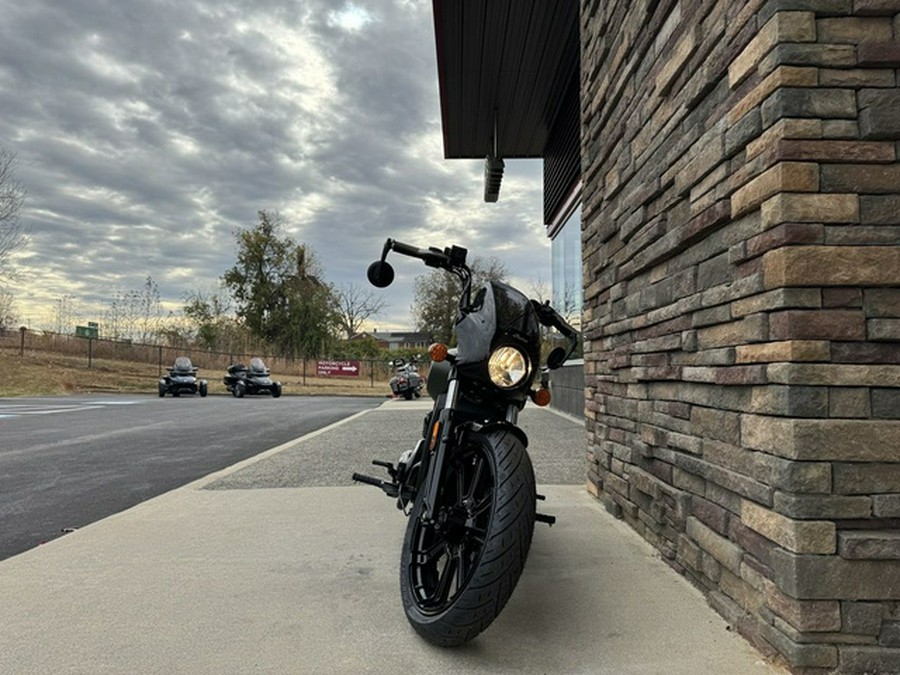 2024 Indian Scout Rogue ABS Sagebrush Smoke