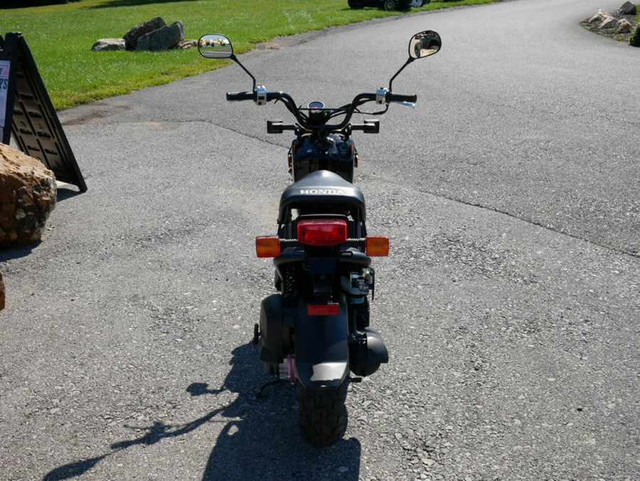 2024 Honda® Ruckus