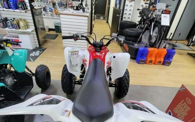 2026 Yamaha Raptor 700R SE