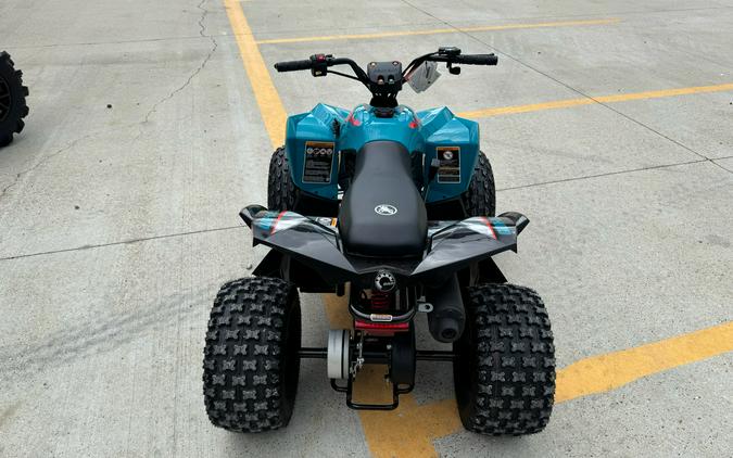 2026 Can-Am Renegade 110 EFI