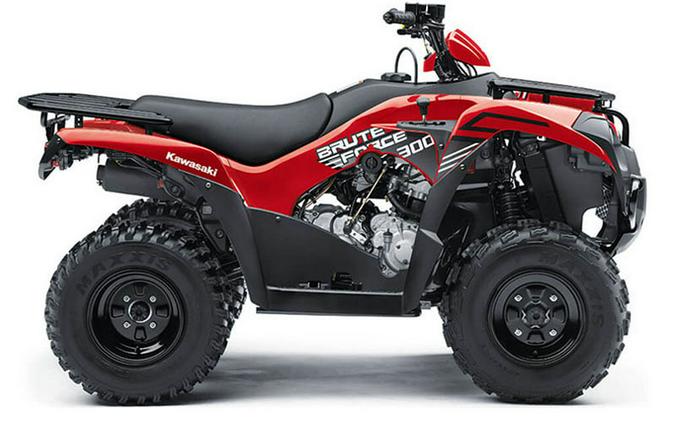 2024 Kawasaki Brute Force 300