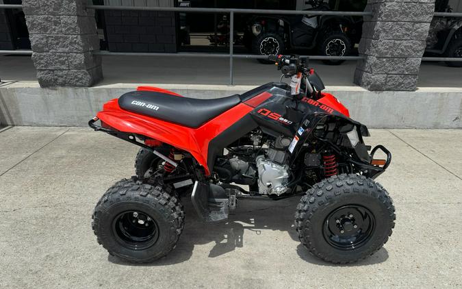 2026 Can-Am DS 250