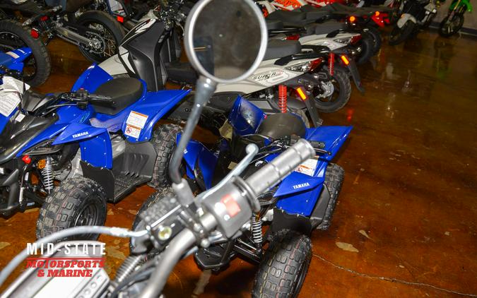 2025 Kawasaki KLX®300SM
