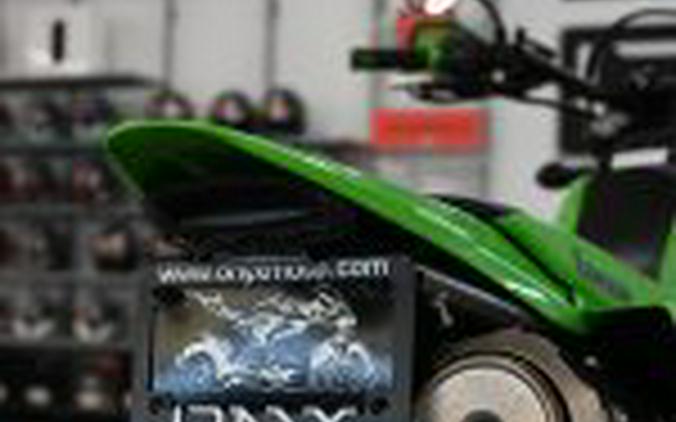 2026 Kawasaki KLX 300