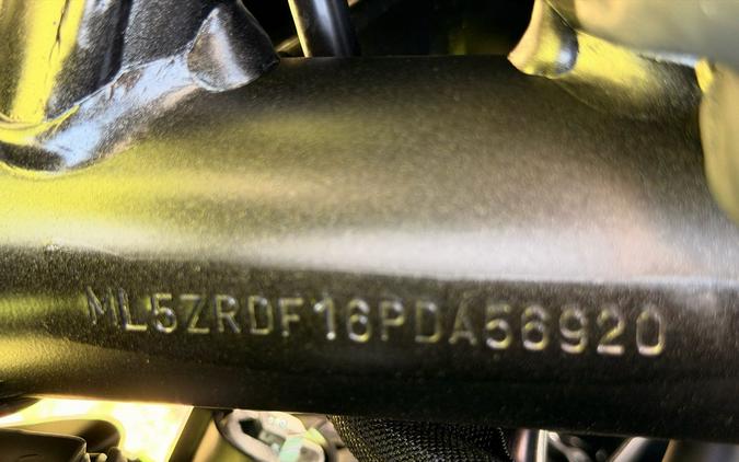 2023 Kawasaki Z900 ABS