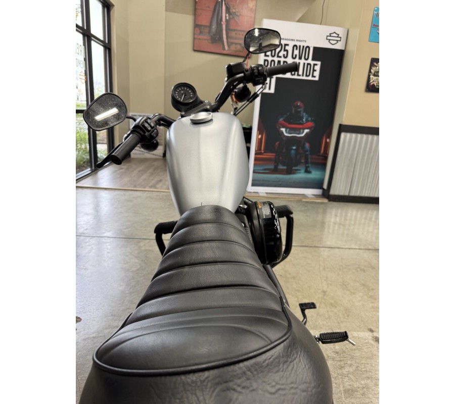 2020 Harley-Davidson Iron 883