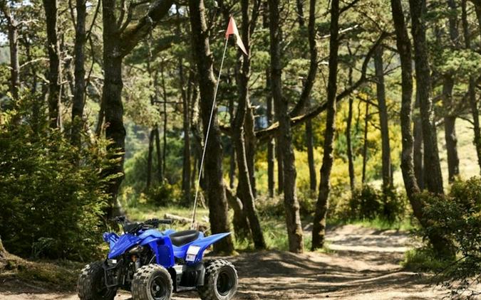 2026 Yamaha YFZ50