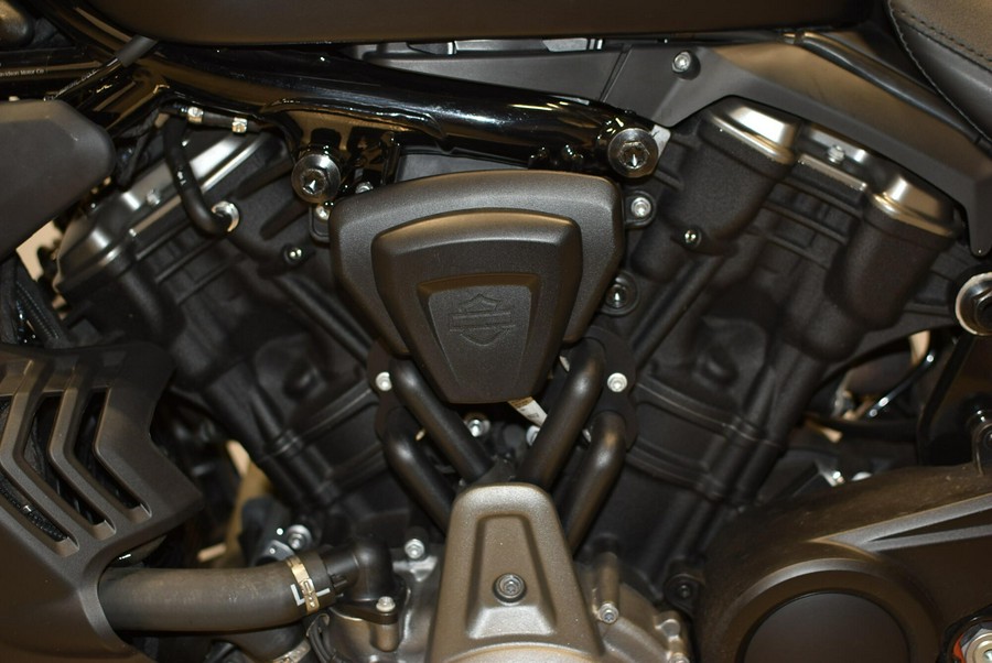 2024 Harley-Davidson Nightster Special RH975S