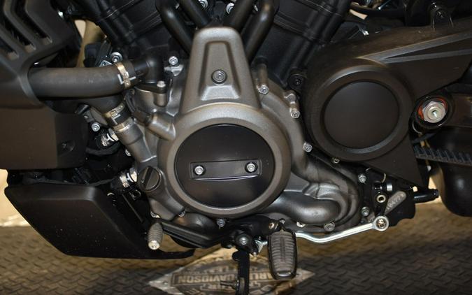 2024 Harley-Davidson Nightster Special RH975S
