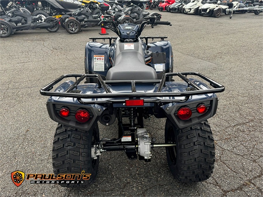 2025 Kawasaki Brute Force® 300