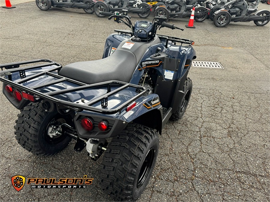 2025 Kawasaki Brute Force® 300