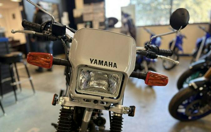 2025 Yamaha TW200