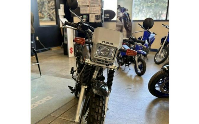 2025 Yamaha TW200