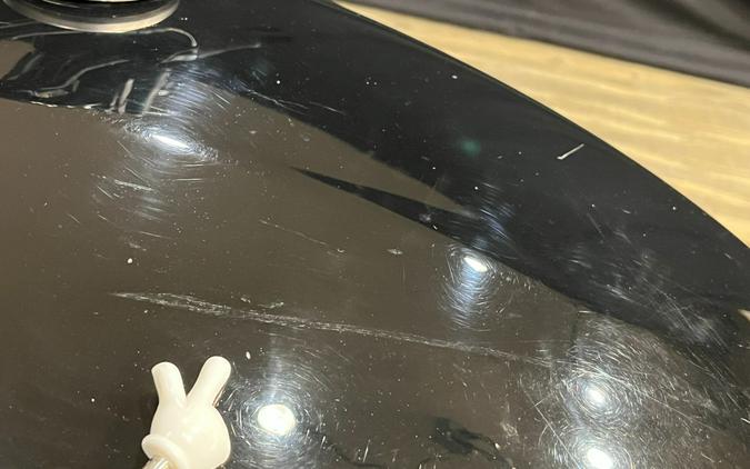 2019 Harley-Davidson Street® 500