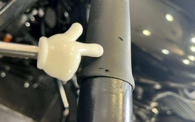 2018 Harley-Davidson Street® 500