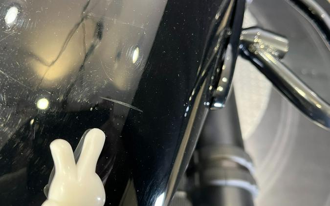 2018 Harley-Davidson Street® 500