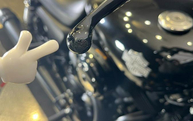 2018 Harley-Davidson Street® 500