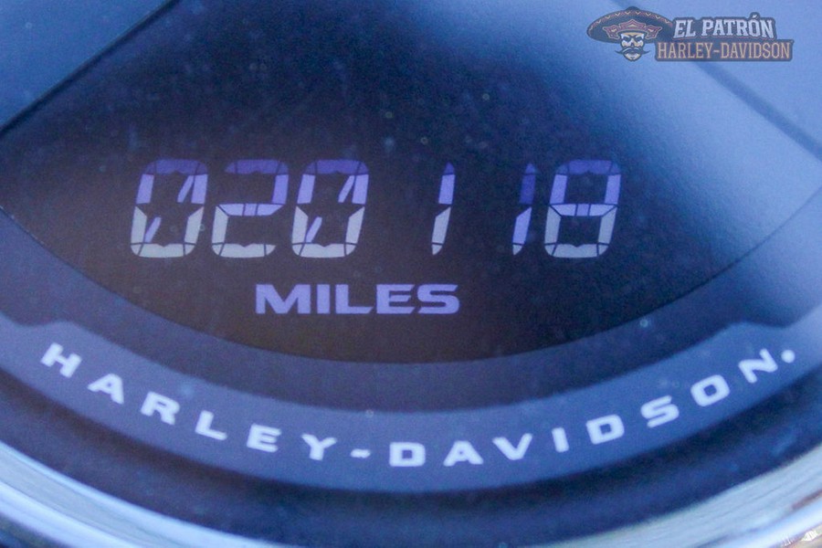 2019 Harley-Davidson® FXLR - Softail® Low Rider®