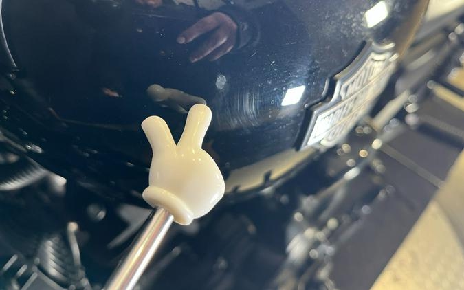 2018 Harley-Davidson Street® 500