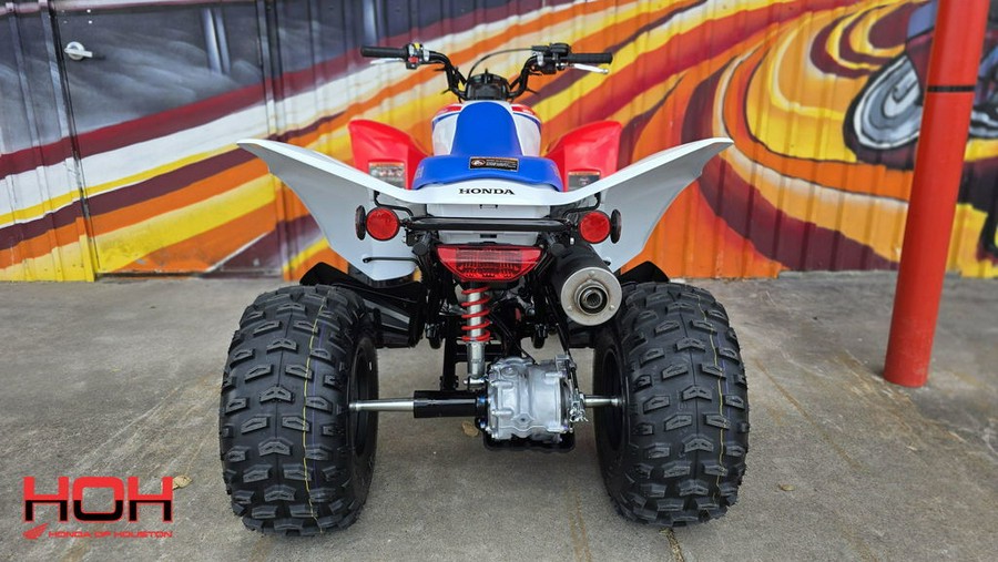 2026 Honda® TRX250X