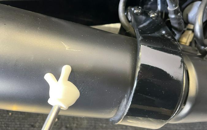 2019 Harley-Davidson Street® 500