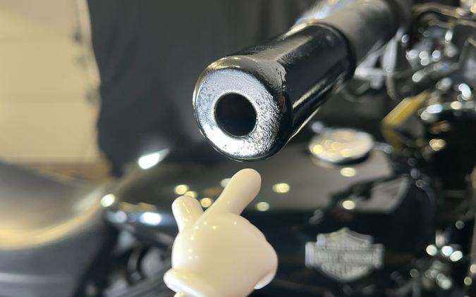 2019 Harley-Davidson Street® 500