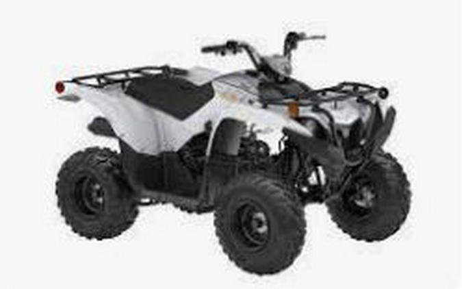 2024 Yamaha GRIZZLY 90