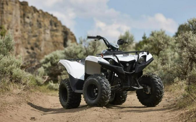 2024 Yamaha Grizzly 90