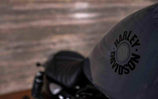 2023 FXST - Softail® Standard - Harley-Davidson®