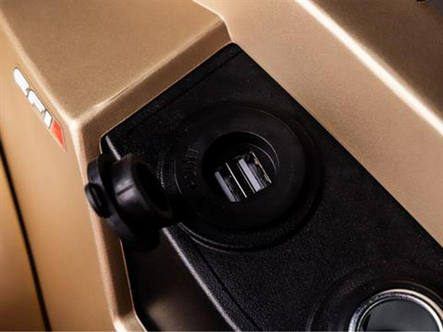 2025 AODES PathCross 1000 LX