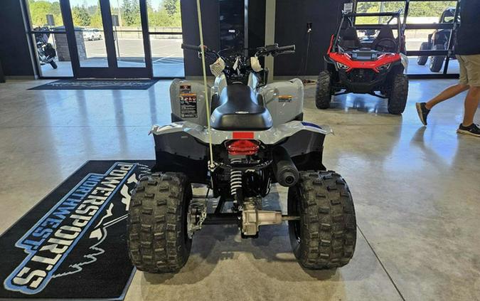 2025 Polaris Phoenix 200 200 - STORM GRAY