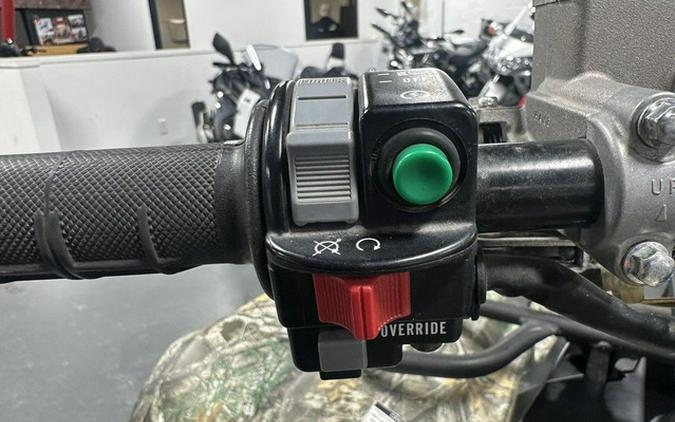 2019 Yamaha Grizzly EPS Realtree Edge