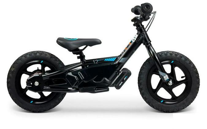 2026 Stacyc 12eDrive