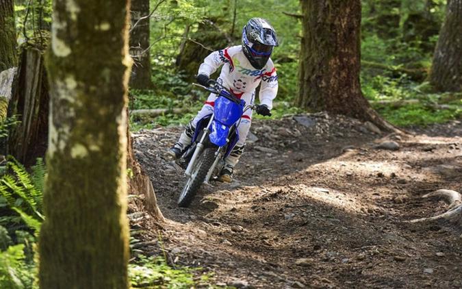 2026 Yamaha TT-R 110E