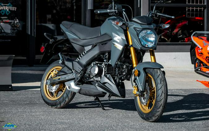 2024 Kawasaki Z125 PRO