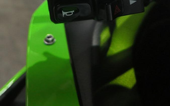 2024 Kawasaki ZX-4RR PRFNL
