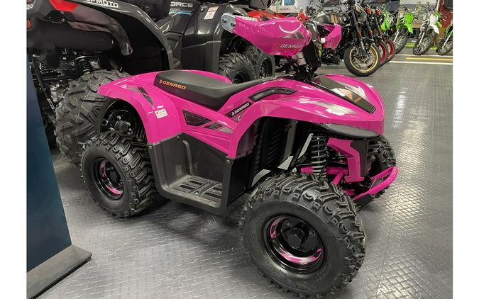 2026 E-HAWK 6 - Denago Powersports