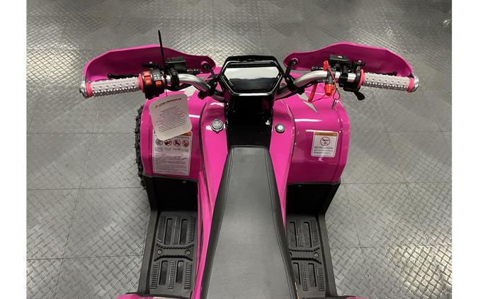 2026 E-HAWK 6 - Denago Powersports