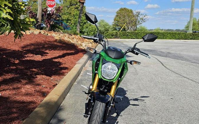 2024 Kawasaki Z125 PRO