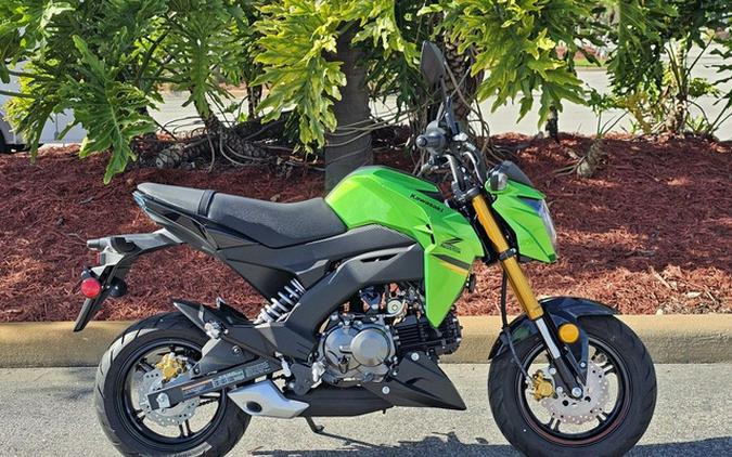 2024 Kawasaki Z125 PRO